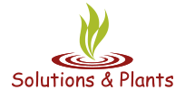 Solutions & Plants